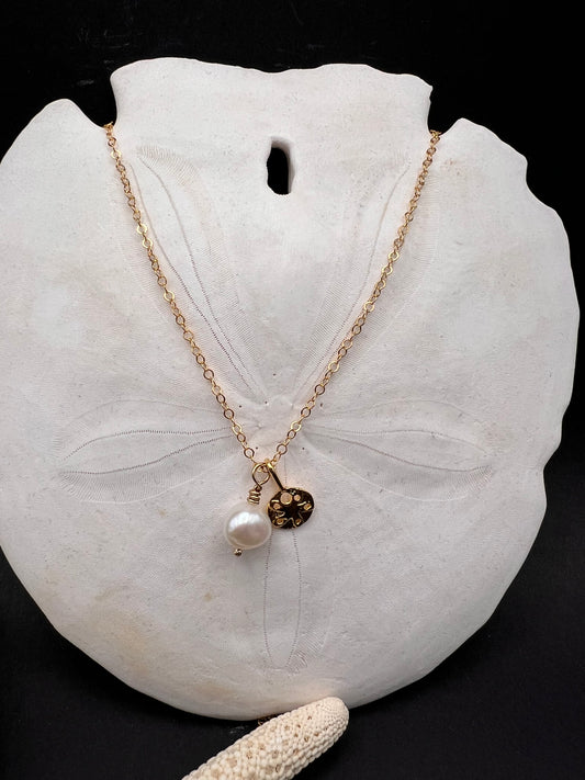 Sand Dollar and Pearl 14K Gold Filled Necklace