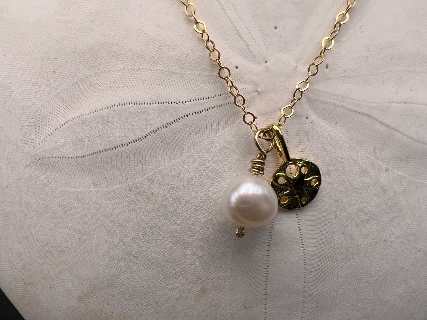 Sand Dollar and Pearl 14K Gold Filled Necklace